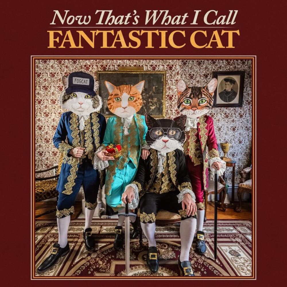 Fantastic Cat - Now That's What I Call Fantastic Cat  LP LP